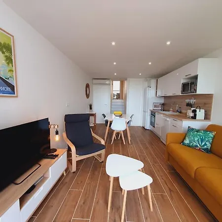 La Perle Du Fidji Sur Le Port Avec Parking Prive Clim Wifi - Rossiconciergerie - Linge En Option Apartmán La Grande Motte