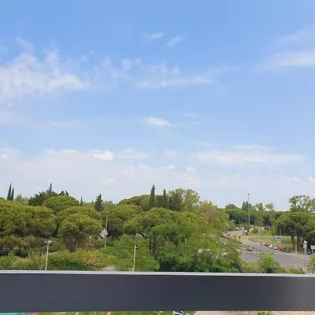 Apartment T2 Fidji Vue Port Et Parking Clim Wifi - Rossiconciergerie - Linge En Option