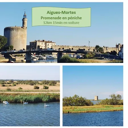 Appartement La Perle Du Fidji Sur Le Port Avec Parking Privé Clim Wifi - Rossiconciergerie - Linge En Option