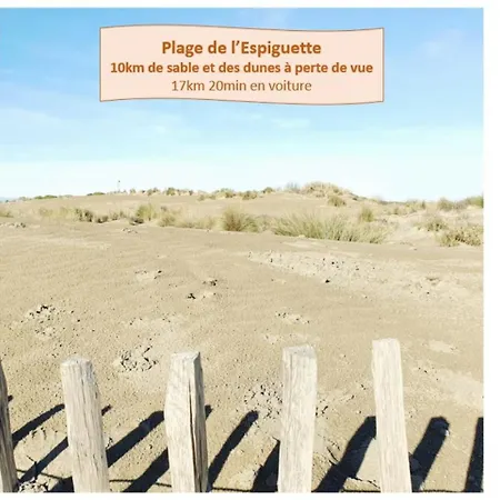 La Perle Du Fidji Sur Le Port Avec Parking Privé Clim Wifi - Rossiconciergerie - Linge En Option Appartement La Grande Motte