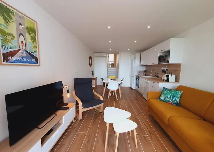 La Perle Du Fidji Sur Le Port Avec Parking Prive Clim Wifi - Rossiconciergerie - Linge En Option Apartman La Grande-Motte