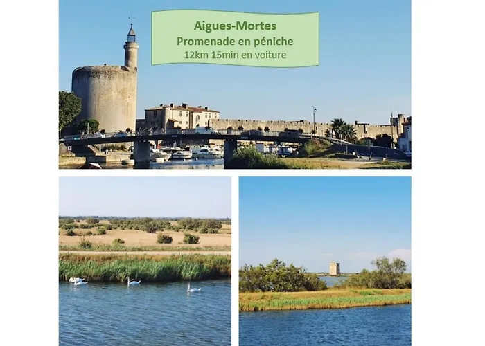 Apartman La Perle Du Fidji Sur Le Port Avec Parking Prive Clim Wifi - Rossiconciergerie - Linge En Option