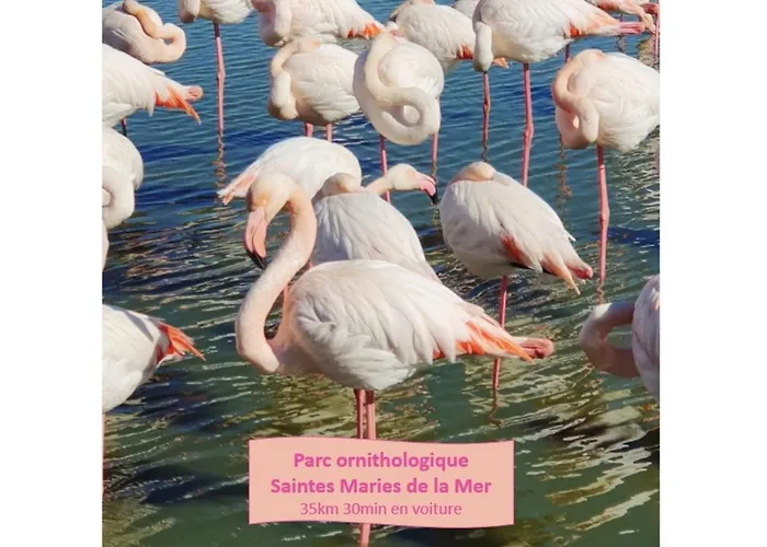 La Perle Du Fidji Sur Le Port Avec Parking Prive Clim Wifi - Rossiconciergerie - Linge En Option *