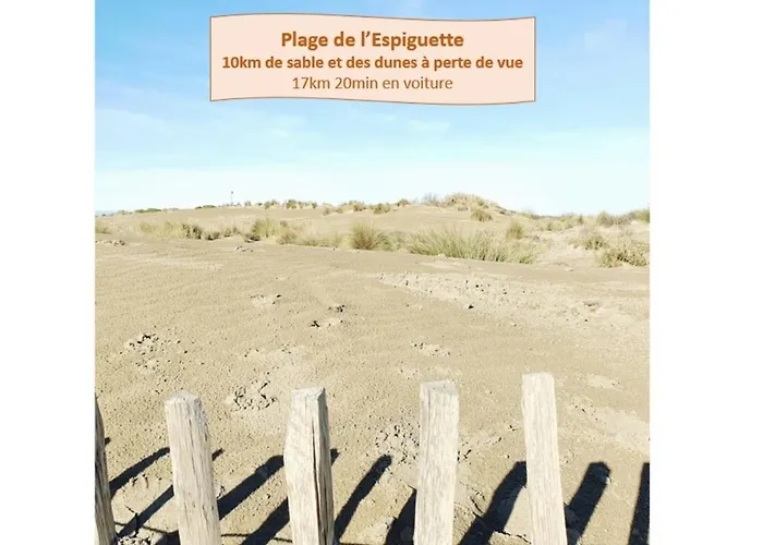 La Perle Du Fidji Sur Le Port Avec Parking Privé Clim Wifi - Rossiconciergerie - Linge En Option Apartamento La Grande-Motte